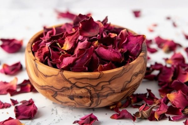 rose, red, petals